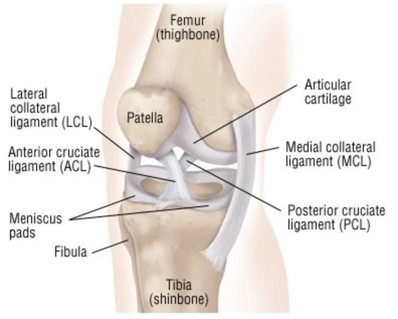MCL Knee Braces Infographic